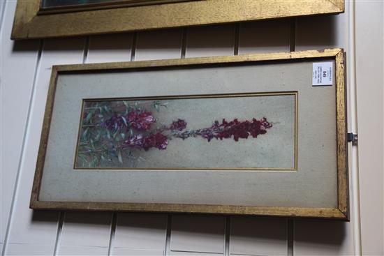 James Valentine Jelley (1885-1942) Study of Antirrhinums 15.25 x 5in.